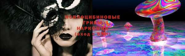 ГАЛЛЮЦИНОГЕННЫЕ ГРИБЫ Верхнеуральск