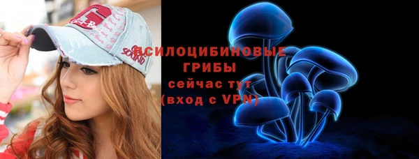 ГАЛЛЮЦИНОГЕННЫЕ ГРИБЫ Верхнеуральск