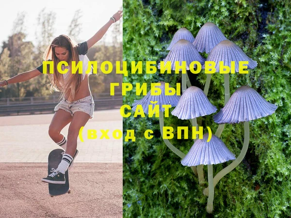 метадон Верея