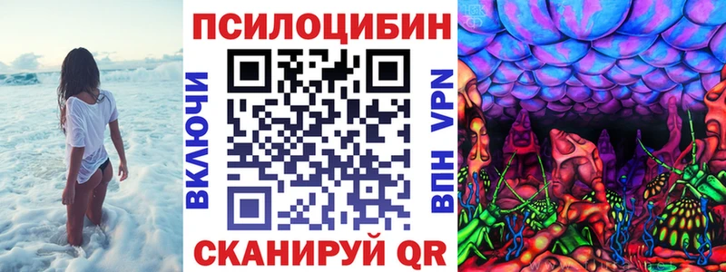 Псилоцибиновые грибы прущие грибы  Купить где  Троицк 